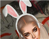 Bunny Ears HD