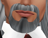 Grey beard goatee 1