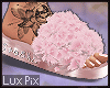 𝓛 Lia SlidersTat-Rose