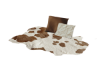 Cowhide Rug w/Pillows