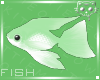Fish Green 1a Ⓚ
