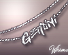 Signs Gemini Necklace