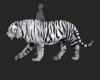 ☢ Ani Tiger White