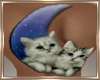  Moon Cats Tattoo