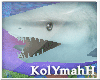 KYH | AQUA Shark