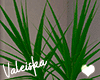 VK~Ocean/Plant