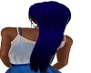 blueberry ponytail