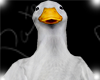 PATO