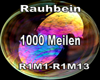 1000 Meilen