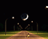 Night Road