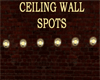 DINER CEILING WALL SPOTS