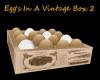 Egg's In a Vintage Box 2