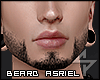 s. Asriel Beard MIv
