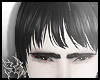 5C SHAN BLACK