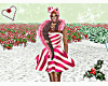 Christmas PW Dress