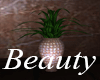 Pearly Pink Plant