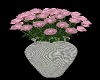 iK* Pink Roses