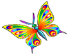 yellowrainbow butterfly
