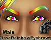 Rave Rainbow Eyebrows M
