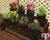 🤍P Floral Pots