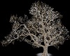 Frosted Winter tree