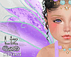 Kids Fairy Lilac Wings