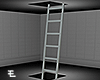 White Ladder / Room