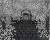 DARK GARDEN AMBIENT
