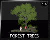 Forest Trees pose