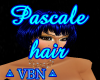 Pascale hair BD