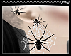[xx]Spiders/Web Earrings