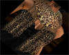Cheetah Sheer Scarves 
