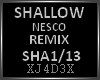 SHALLOW/ Remix
