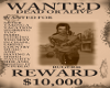 WantedRuger