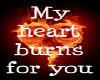 my heart burns for you