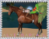 Tropical Horse Ride