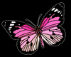 Animated Pink Wings