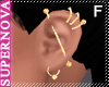 SN. Gld Ear Piercings V2