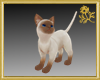 Siamese Cat Pet
