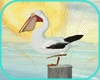 MAU/ OCEAN PELICAN DECOR