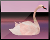 KYH | tree cute swan
