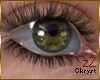 cK Eyes Ckryst Green