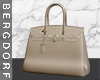 Birkin Bag Camel