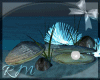 [RM]Oceanica SeaShells