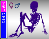 Ann Purple Skeleton M/F