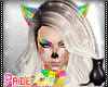 [CS] Pride Cat .F