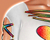 🌈 Top pride white 2