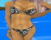 Black leopard Bikini