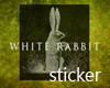 White Rabbit