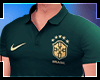 Polo BR